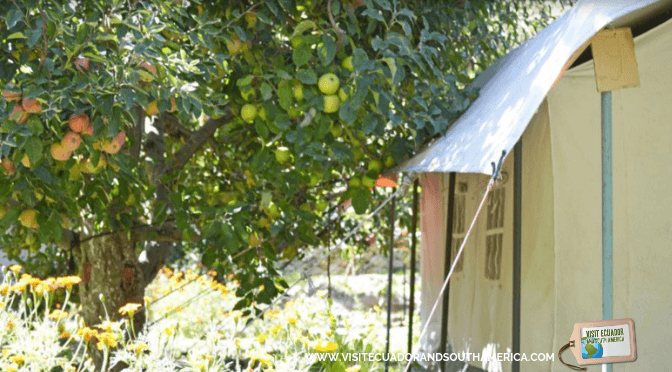 orchards in india