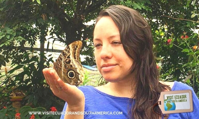 butterfly farm mindo (1)