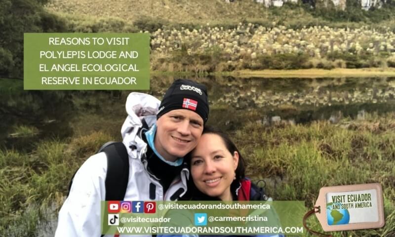 Polylepis Lodge El Angel Ecological reserve Ecuador (14)