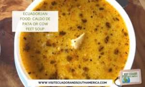 Caldo de pata Ecuadorian soup (3)