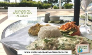 Ecuadorian food Pescado al Ajillo or Fish in Garlic Sauce (2)
