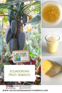Ecuadorian fruit babaco (3)