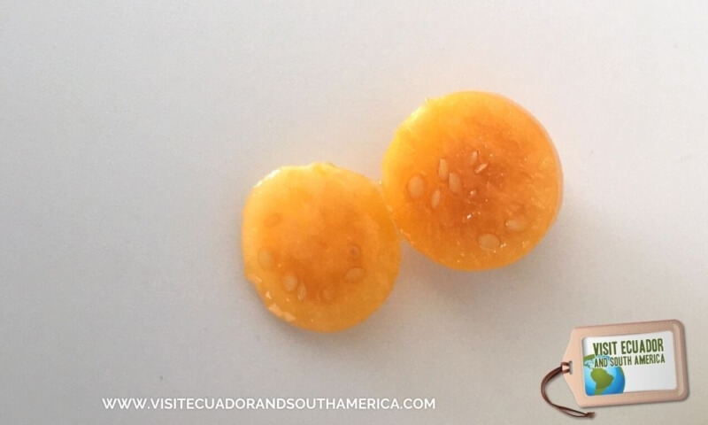 Ecuadorian fruit uvilla exotic fruit golden berry (3)