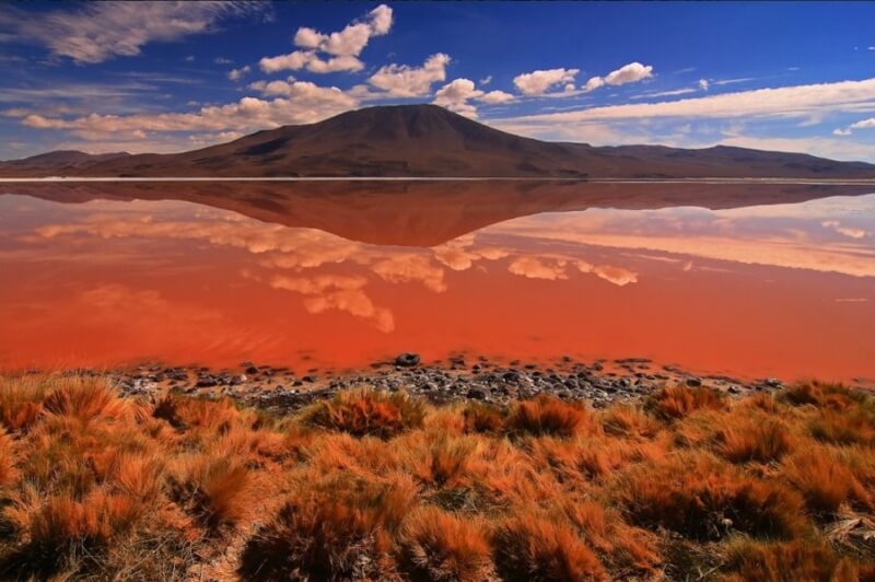 Salt Flats and Colored Lagoons Tour from Uyuni