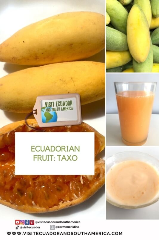 Taxo Ecuador Ecuadorian fruit (2)