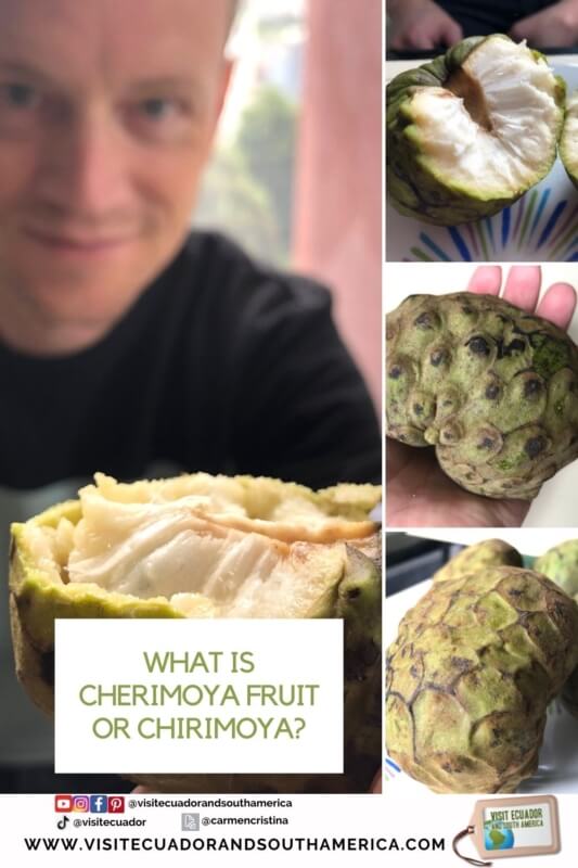 What is cherimoya fruit or chirimoya