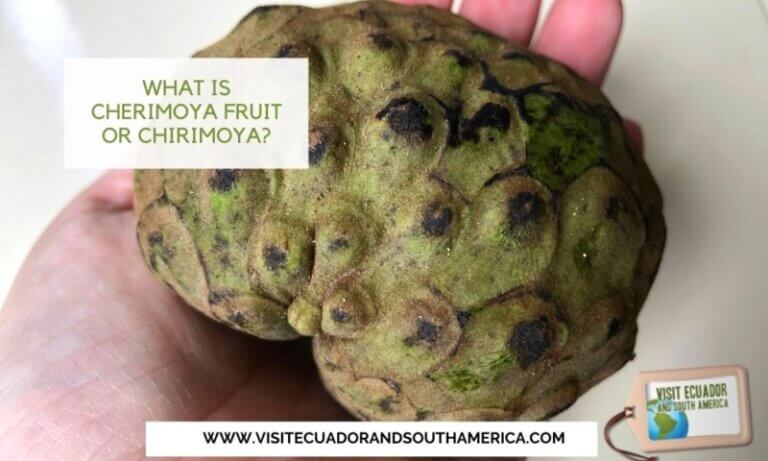 What is cherimoya fruit or chirimoya