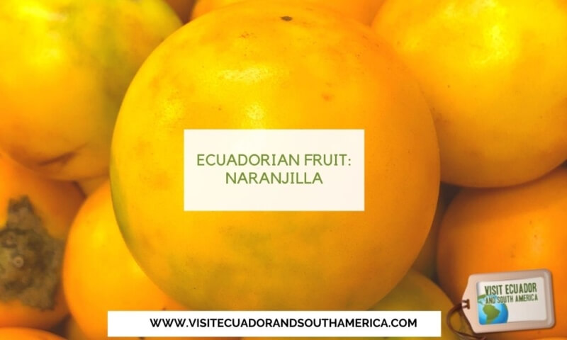 naranjilla ecuadorian fruit ecuador fruits (1)