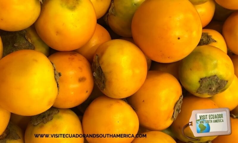 Naranjilla Orange fruit (11 pack) Lulo fruit fruta fresca Fresh Solanum  quitoense lulo Exotic fruit food