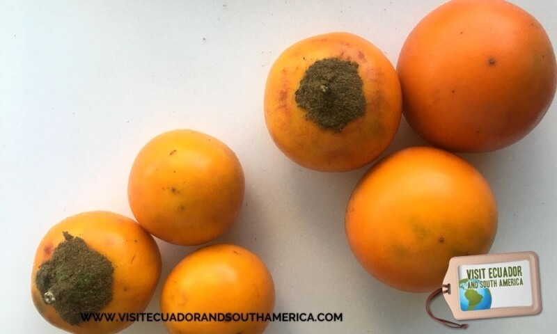 Naranjilla Orange fruit (11 pack) Lulo fruit fruta fresca Fresh Solanum  quitoense lulo Exotic fruit food