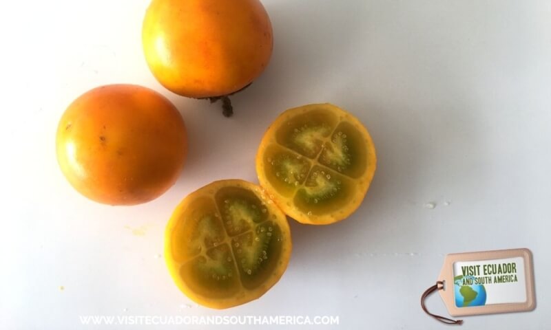 naranjilla ecuadorian fruit ecuador fruits (3)