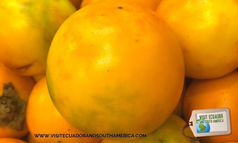 naranjilla ecuadorian fruit ecuador fruits (3)