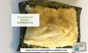 Ecuadorian dessert quimbolitos quimbolito Ecuador (3)