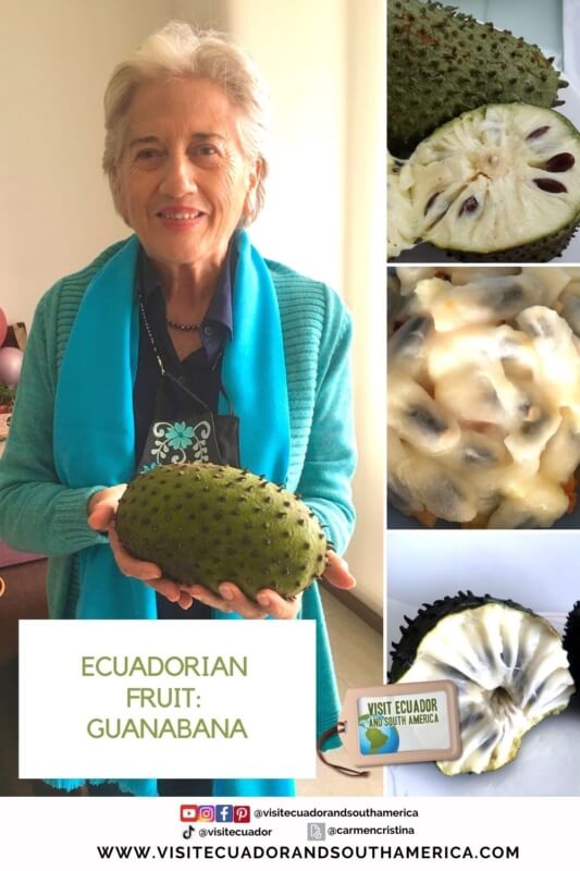 Ecuadorian fruit guanabana ecuador (3)
