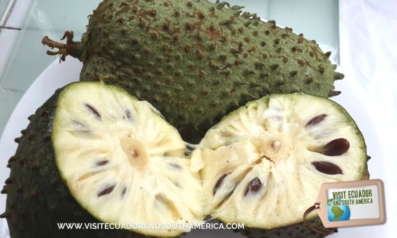 Ecuadorian fruit guanabana ecuador (3)