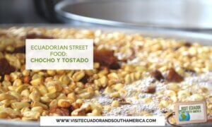Ecuadorian street food chocho y tostado (3)