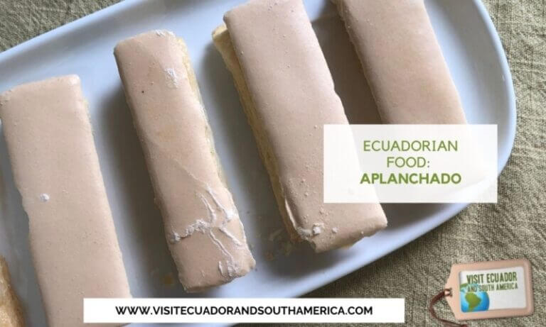 ecuadorian food aplanchado ecuador (2)
