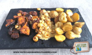 peruvian food pulpo anticuchero (3)
