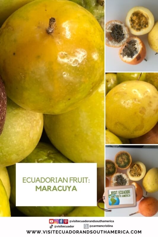 Ecuadorian fruit maracuya passion fruit (3)