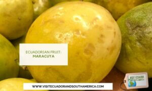 Ecuadorian fruit maracuya passion fruit (3)