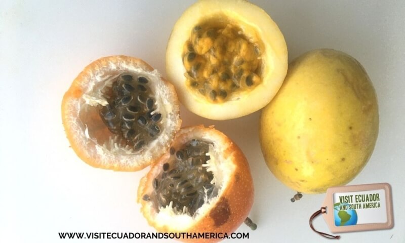 Ecuadorian fruit maracuya passion fruit (3)