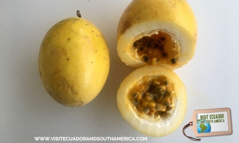 Ecuadorian fruit maracuya passion fruit (3)