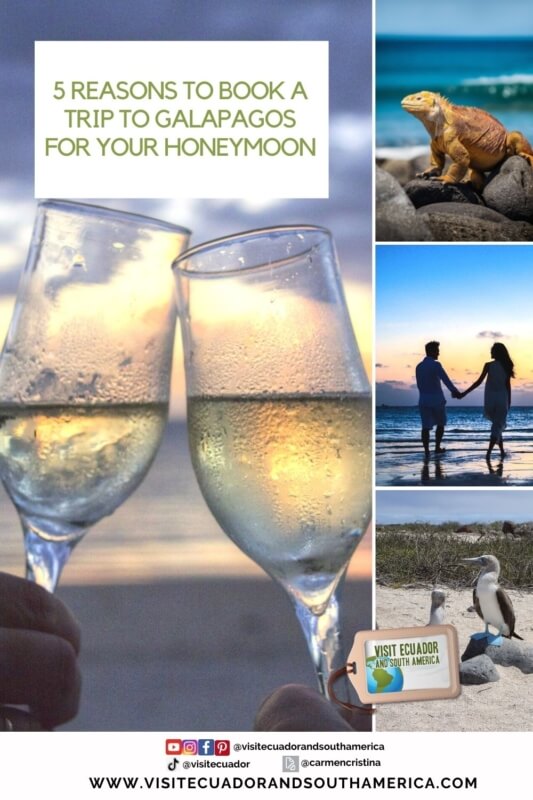5 Reasons to Book a Trip to Galapagos for Your Honeymoon