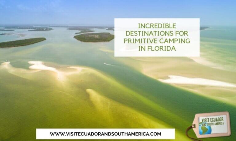 Incredible Destinations For Primitive Camping In Florida Visit   Camping In Florida 6 768x461 