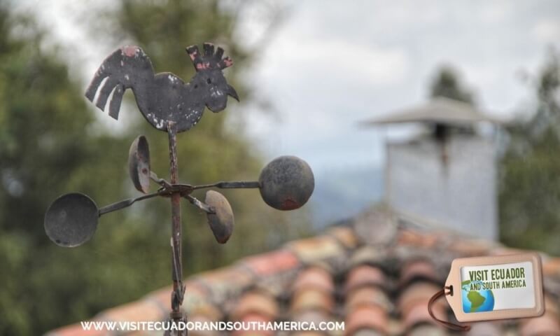 Hacienda Jimenita Pifo Ecuador (11)