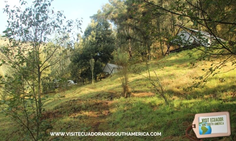 1 Glamping at Urkuwayku farm Ilalo Quito visitecuadorandsouthamerica (11)