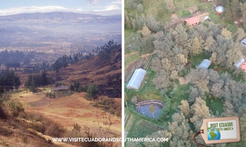 Agriculture Glamping at Urkuwayku farm Ilalo Quito visitecuadorandsouthamerica 6 (13)