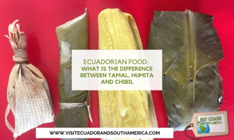 Ecuadorian food What is the difference between tamal, humita and chibil visitecuadorandsouthamerica (3)