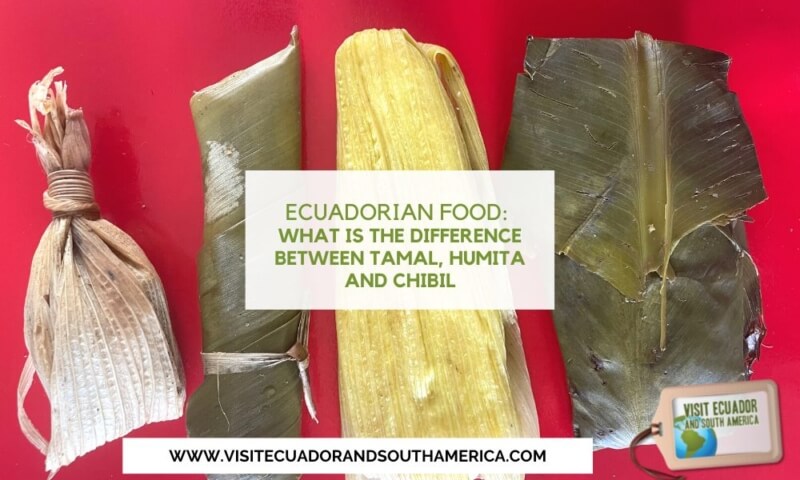 Ecuadorian food What is the difference between tamal, humita and chibil visitecuadorandsouthamerica (3)