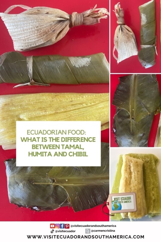 Ecuadorian food What is the difference between tamal, humita and chibil