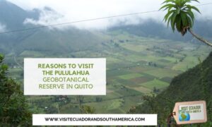 Reasons to visit the Pululahua Geobotanical Reserve in Quito