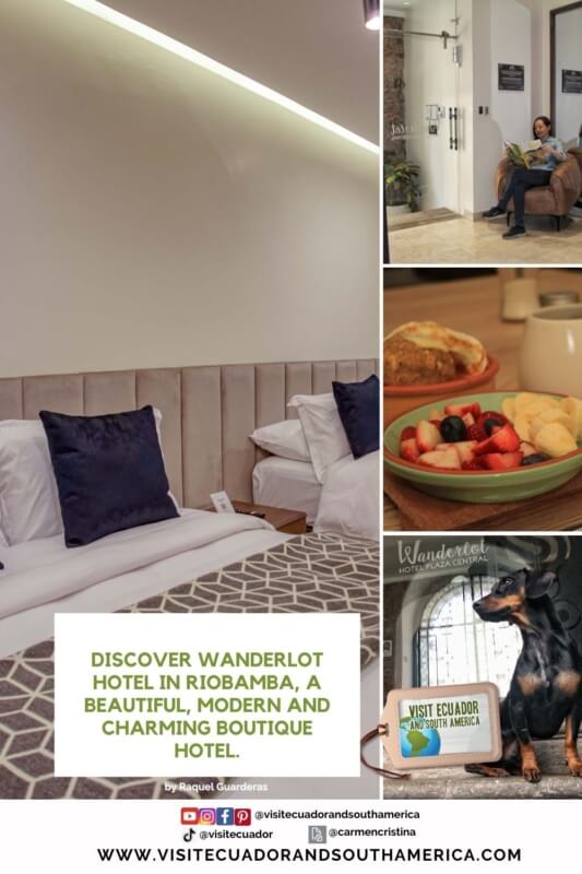 Discover Wanderlot hotel in Riobamba, a beautiful, modern and charming boutique hotel 3 (20)