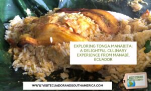 Tonga Manabita