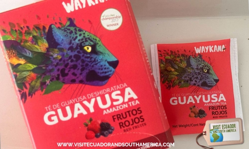 Herbal infusion from Ecuador Guayusa (5)