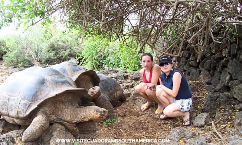 Galápagos Islands unique wildlife experiences travel guide