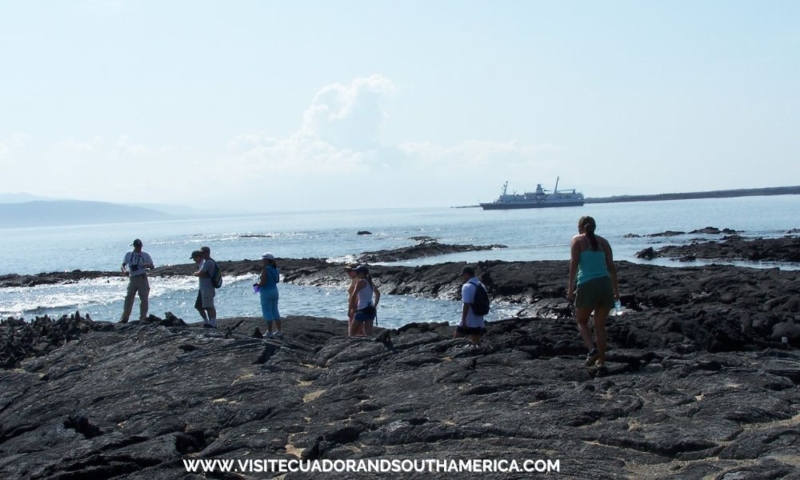 Galápagos Islands unique wildlife experiences travel guide