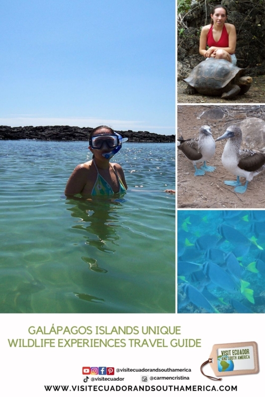 Galápagos Islands unique wildlife experiences travel guide