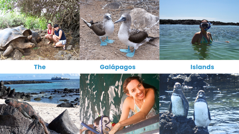 Galápagos Islands unique wildlife experiences travel guide