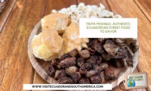 authentic Ecuadorian street food tripa mishqui (1)