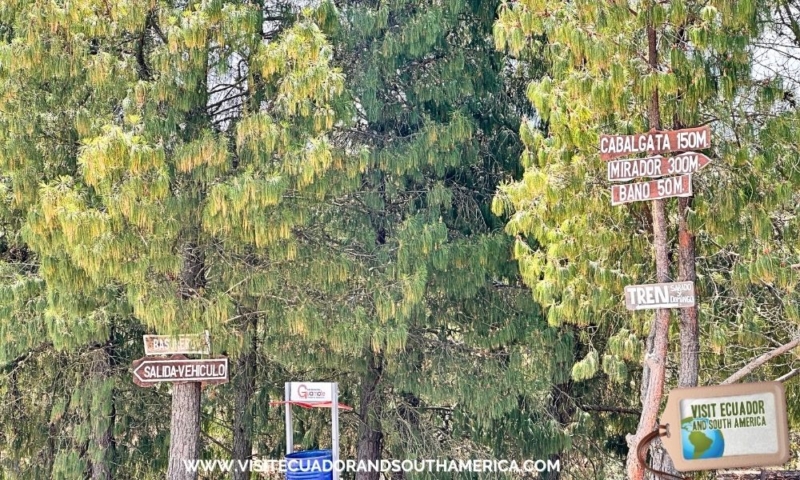 Desert of Palmira road trip from Quito to Cuenca (4)