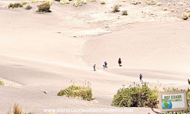 Desert of Palmira road trip from Quito to Cuenca (5)