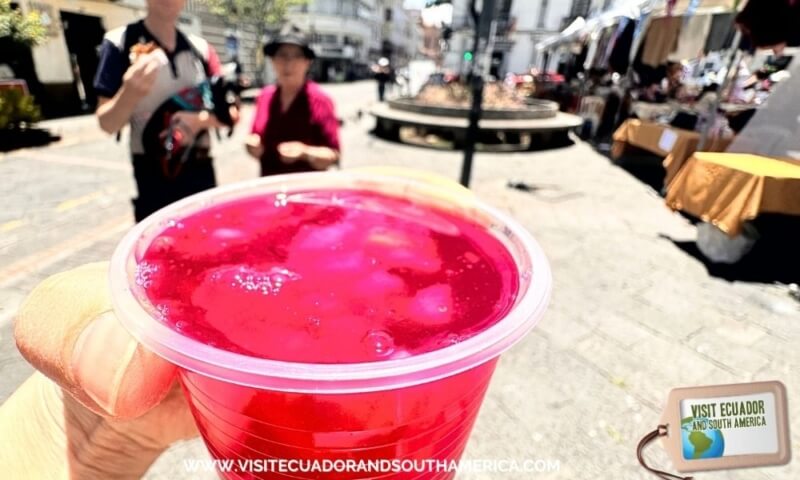 traditional yaguana beverage in Cuenca Ecuador