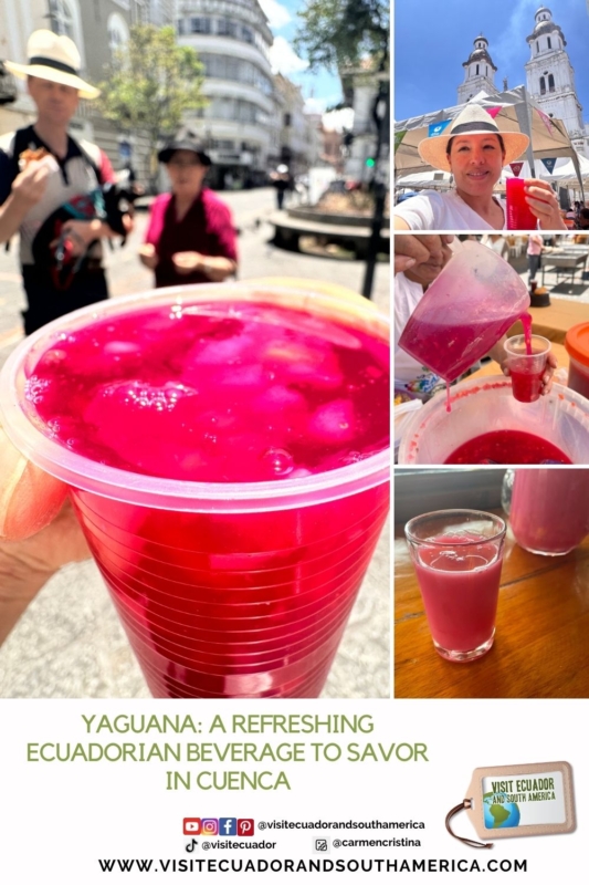 traditional yaguana beverage in Cuenca Ecuador