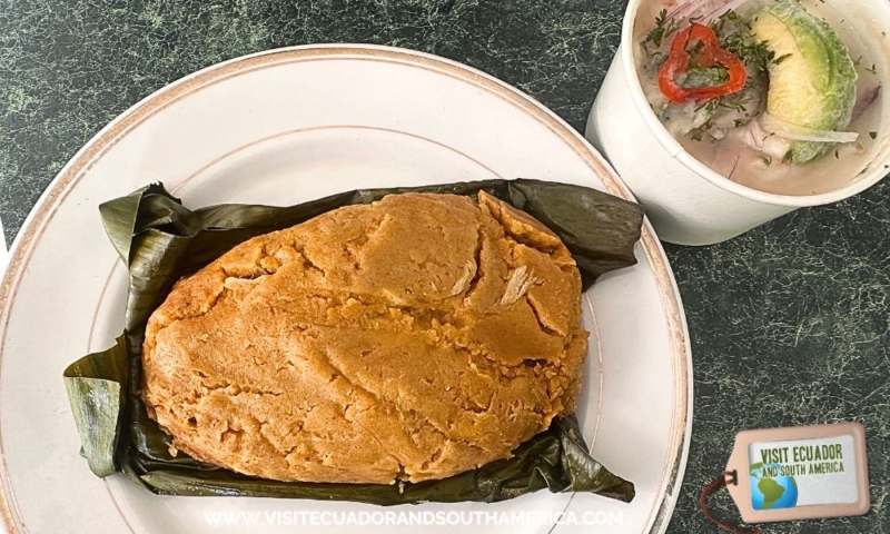 Traditional Ecuadorian bollo de pescado 