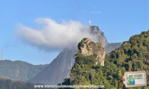 AquaRio marine aquarium experience in Rio de Janeiro (2)