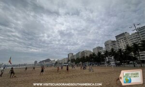 AquaRio marine aquarium experience in Rio de Janeiro (2)